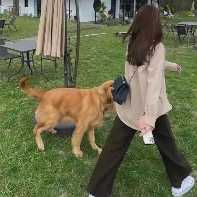 企鹅课